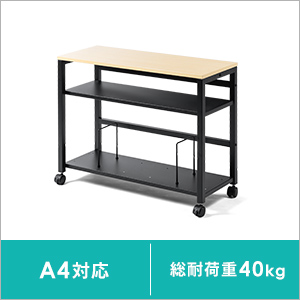 100-WG019