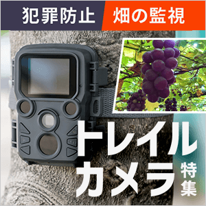߃gCJW